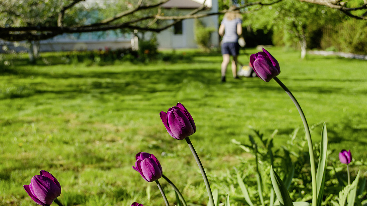 Maak uw tuin lenteklaar